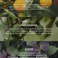 Katini Skin's Signature Body Oil featured ingredients: Yuzu, Macadamia, and Shiso