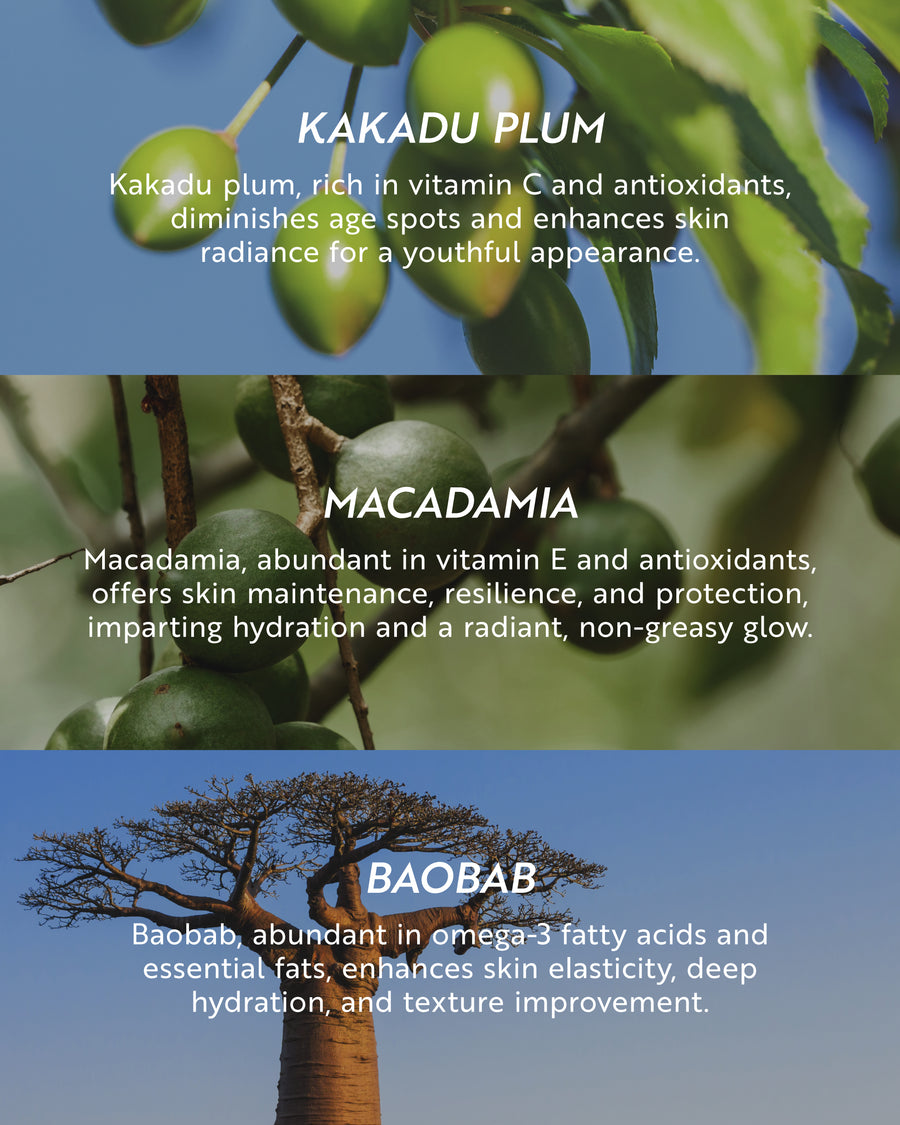 Celestial Night Serum featured ingredients: Kakadu Plum, Macadamia, Baobab
