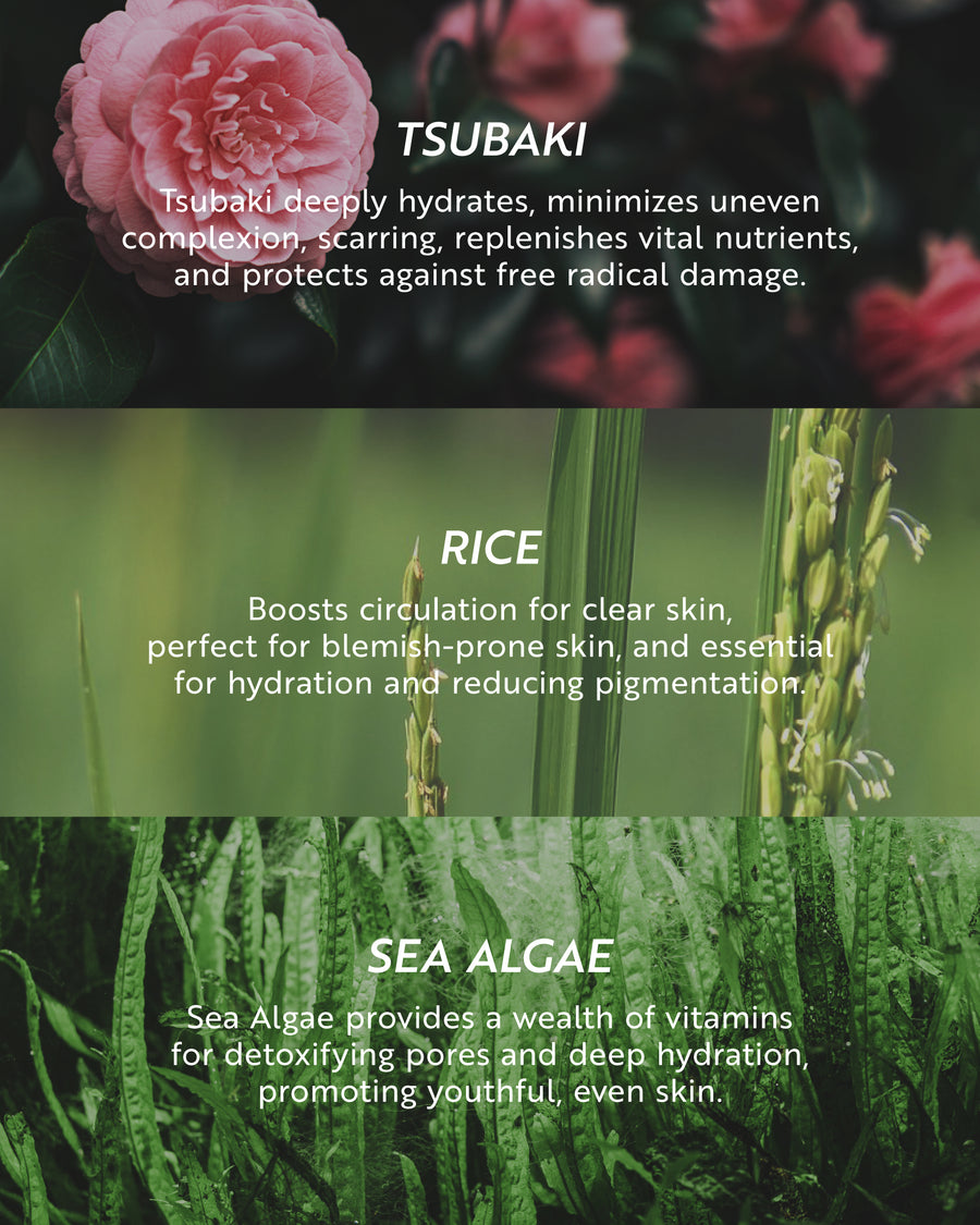 Clarity Facial Oil Ingredients: Tsubaki, Rice, Sea Algae